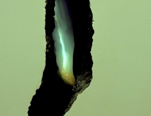 Anhedonie überwinden: Freude und Sinn wiederfinden