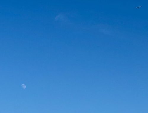 Mein Audiokurs und Raum